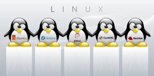 kelebihan dan kekurangan linux