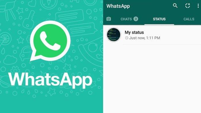 5 Cara Download Status WhatsApp dengan Cepat dan Simple