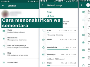 Cara Menonaktifkan Whatsapp Sementara