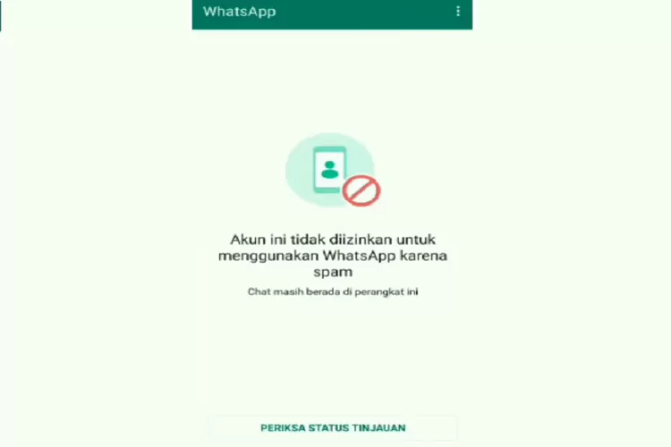 WhatsApp Kena Spam 