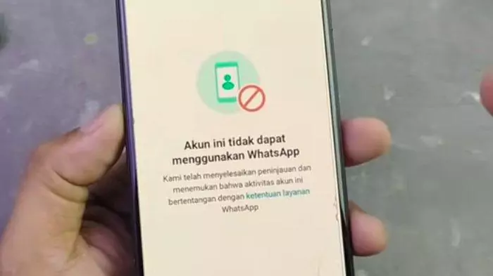 WhatsApp Diblokir Akibat Spam