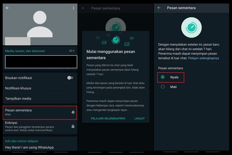 Alasan Banyak Menggunakan Fitur Pesan Hilang Otomatis di Aplikasi WhatsApp 