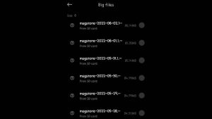 File Msgstore