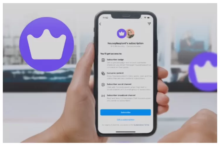 Cara Berlangganan dan Berhenti Konten Eksklusif yang Mudah 