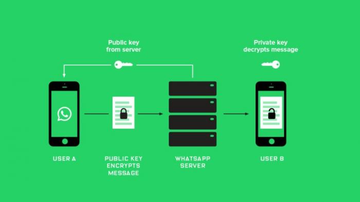 End-to-End Encryption di WhatsApp 