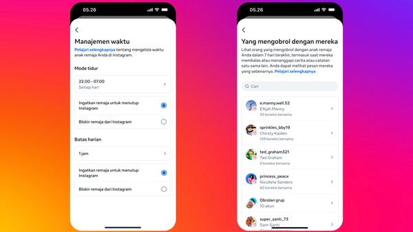 Perbedaan Akun Instagram Remaja dan Dewasa 