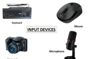 Mengenal Apa Itu Input Device