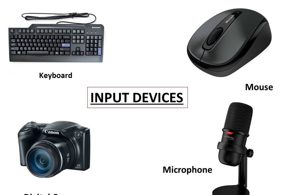 Mengenal Apa Itu Input Device