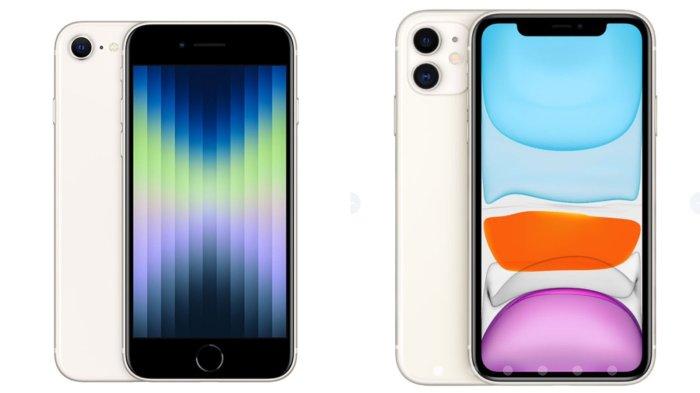 Perbedaan HP iPhone Biasa dan SE 