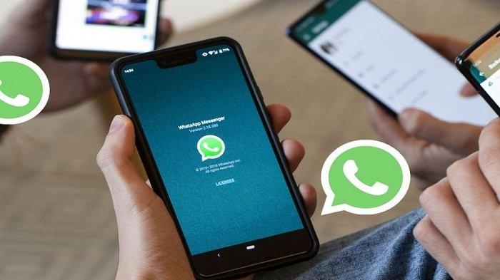 Cara Backup Chat WhatsApp di HP Android dan iPhone