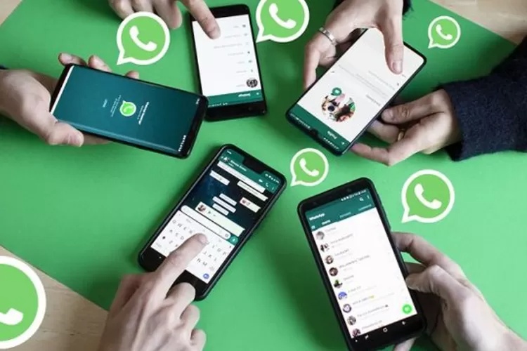 Mengenal Apa Itu Fitur Quick Recap di Aplikasi WhatsApp