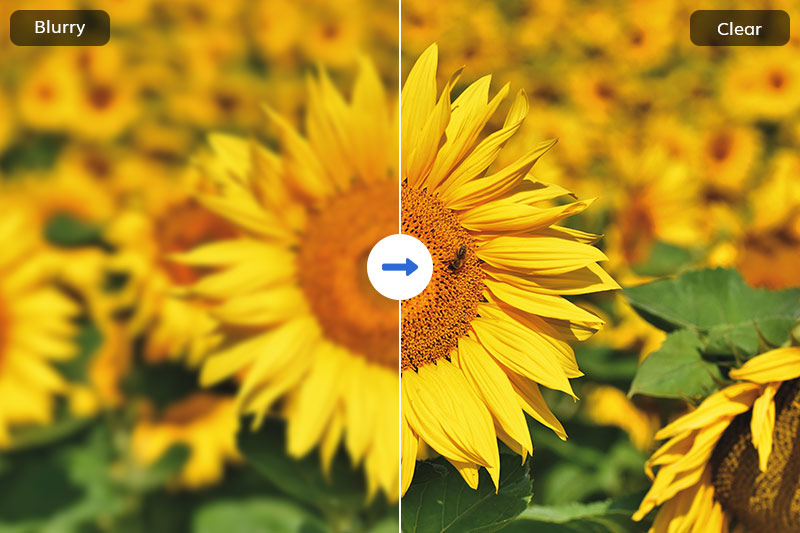 Tips Memperjelas Foto yang Blur Tanpa Aplikasi 